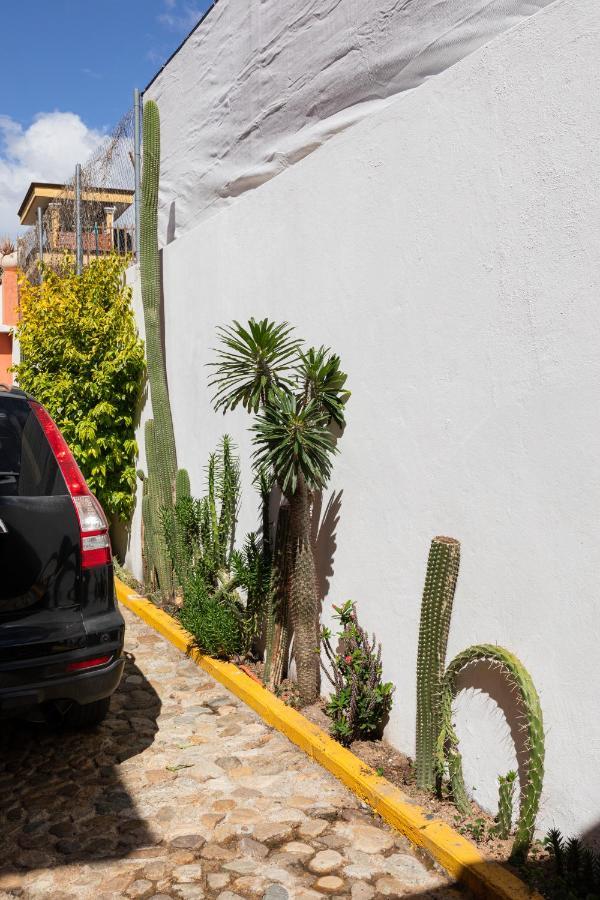 Siento Oaxaca Leilighet Eksteriør bilde
